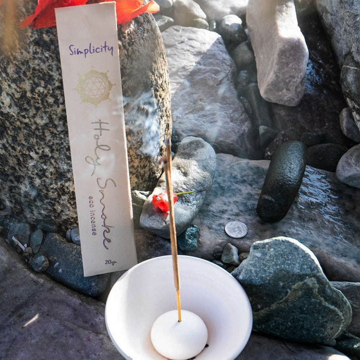 SIMPLICITY Packet 20gms